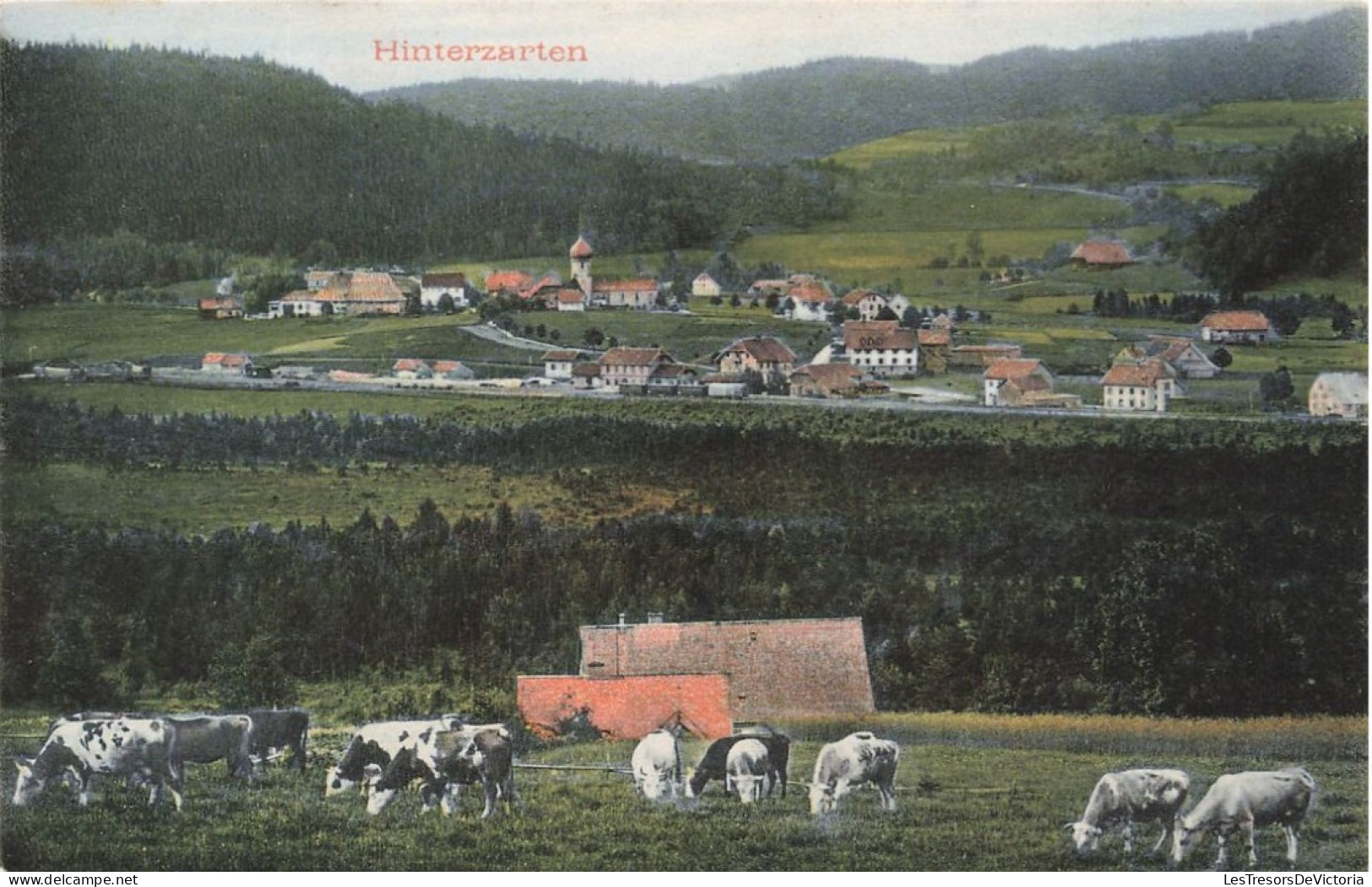 ALLEMAGNE - Hinterzarten  - Vue Générale Sur Le Village - Campagne - Vaches - Pré - Carte Postale - Hinterzarten