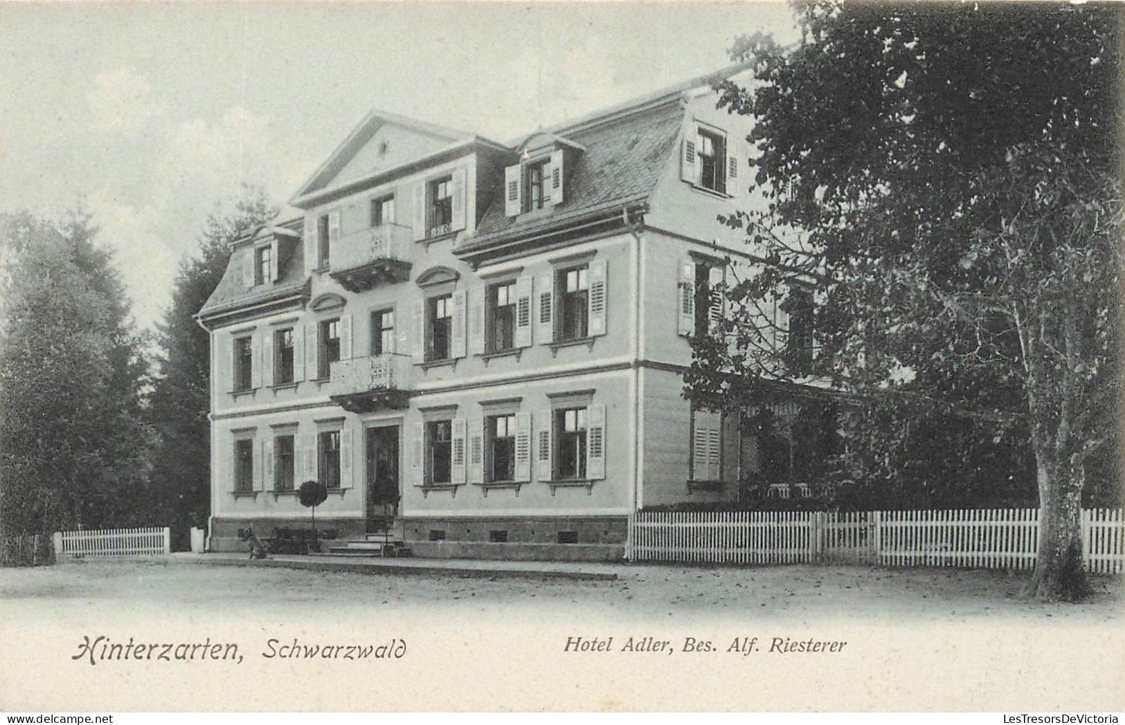 ALLEMAGNE - Hinterzarten  - Hinterzarten - Bad Schwarzwald  - Hotel Adler, Bes Alf Riesterer - Carte Postale Ancienne - Hinterzarten