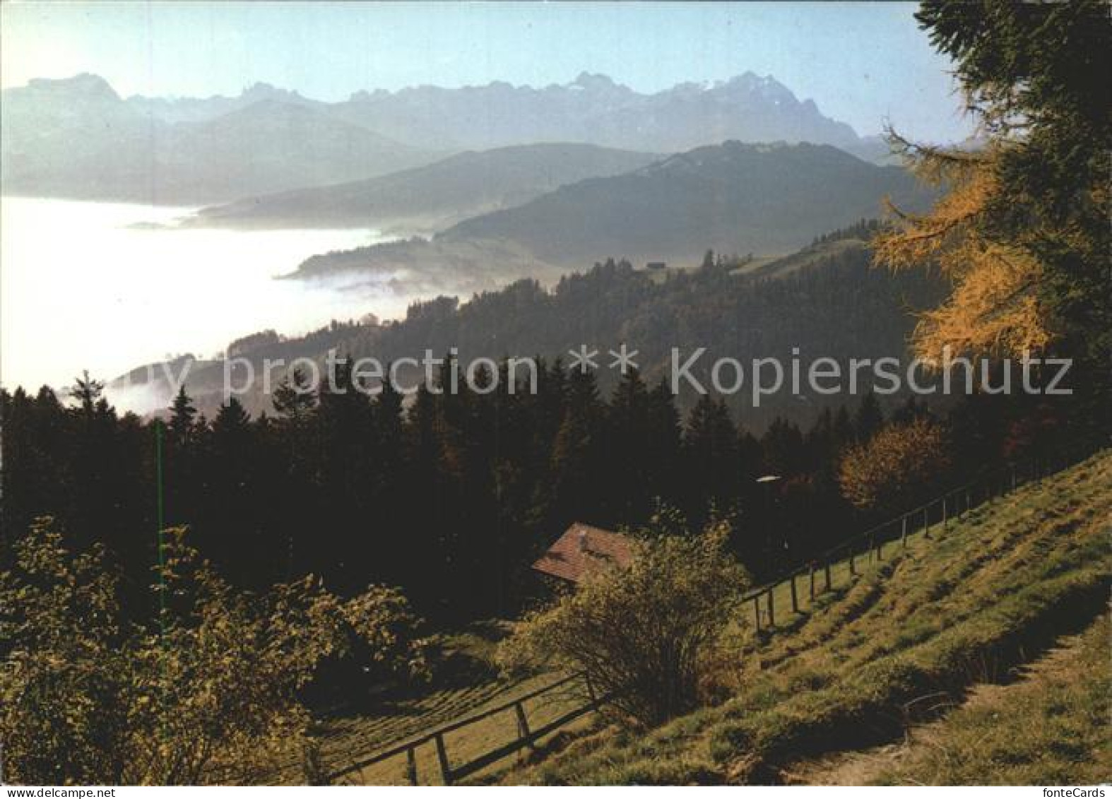 12362491 St Anton Oberegg Alpstein Rheintal St Anton Oberegg - Other & Unclassified