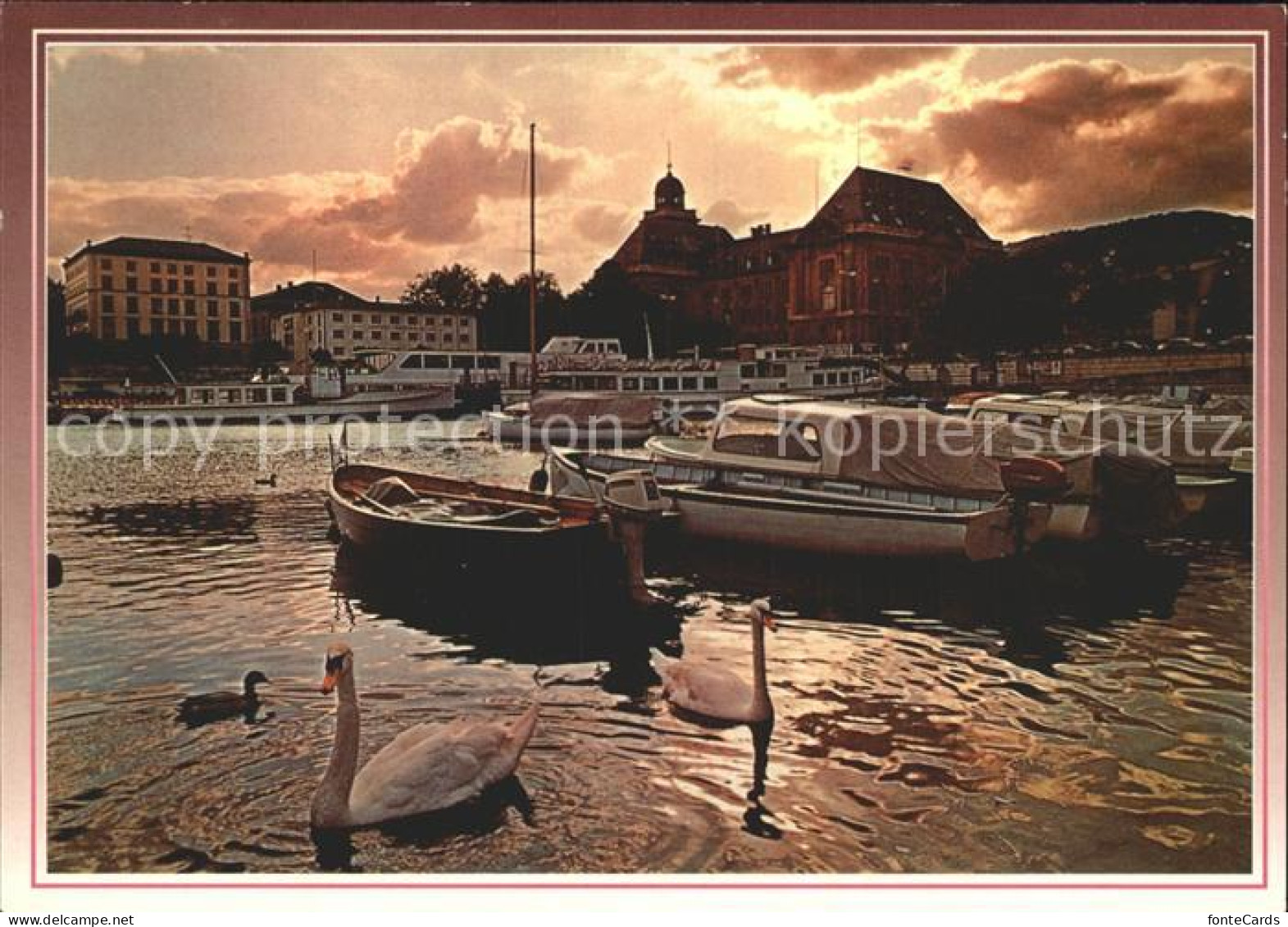 12361330 Neuchatel NE Hafen Schwan  Neuchatel - Autres & Non Classés