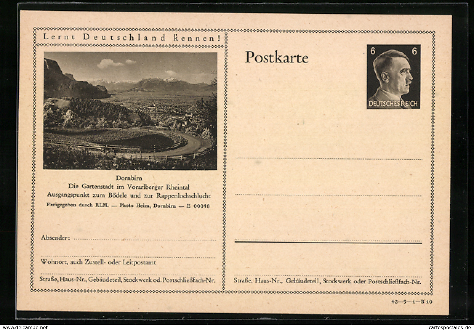 AK Dornbirn, Blick Auf Eine Bergstrasse, Ganzsache Lernt Deutschland Kennen  - Cartes Postales