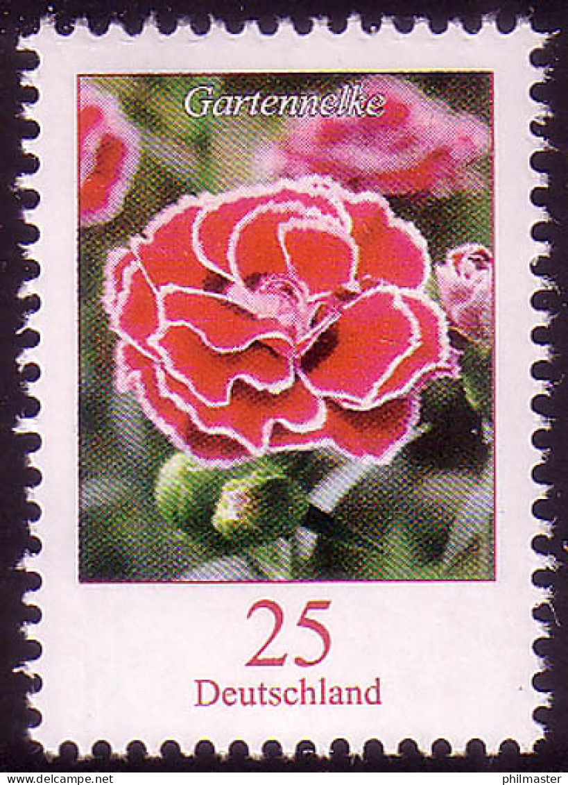 2694 Blume 25 C Gartennelke ** - Neufs