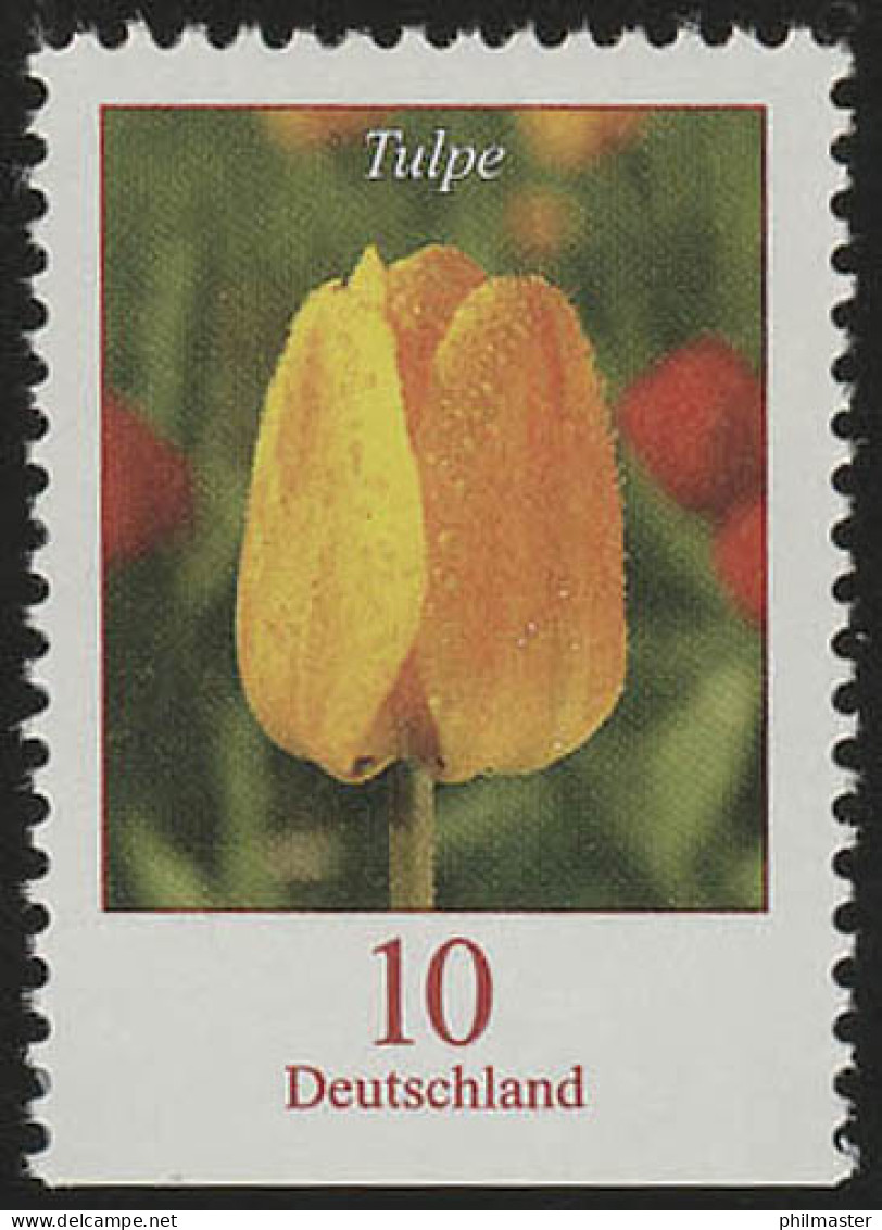 2484Du Blumen 10 C Tulpe, Unten Geschnitten, ** - Neufs