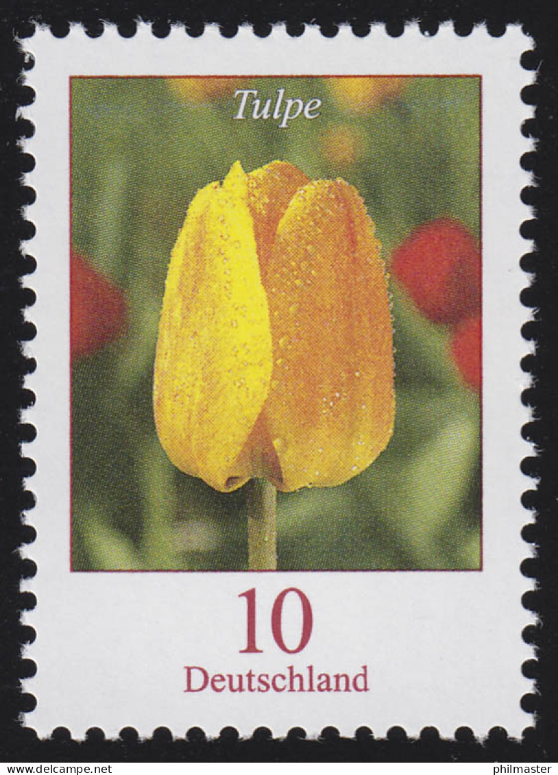 2484A Blumen 10 C Tulpe, ** - Ungebraucht
