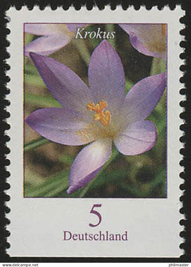 2480Du Blumen 5 C Elfenkrokus, Unten Geschnitten, ** - Unused Stamps