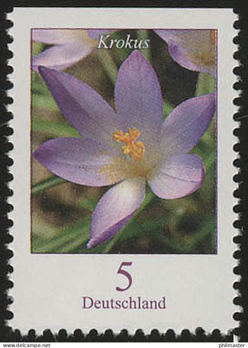 2480Do Blumen 5 C Elfenkrokus, Oben Geschnitten, ** - Unused Stamps