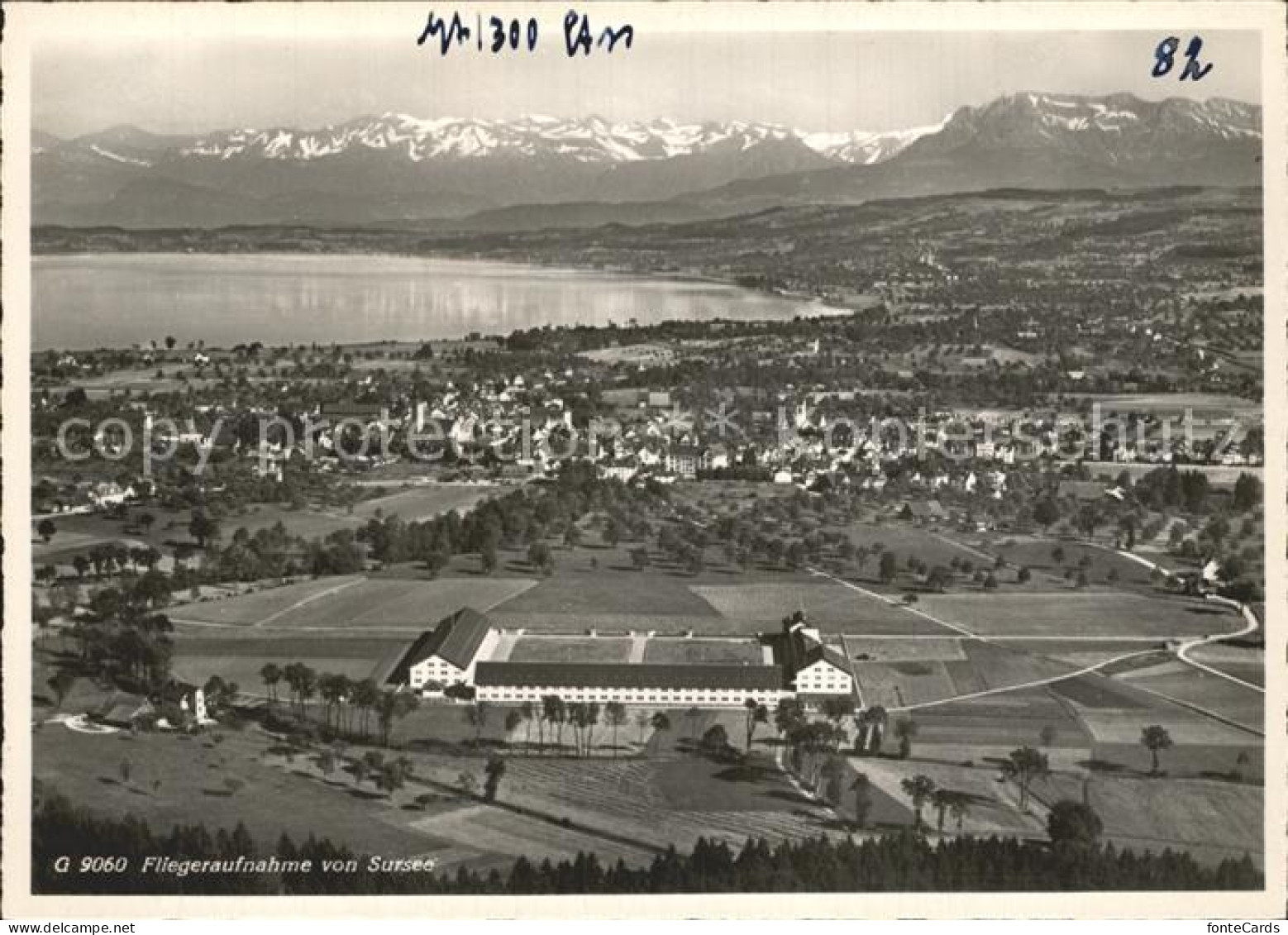 12360062 Sursee See Alpenkette Fliegeraufnahme Sursee - Sonstige & Ohne Zuordnung