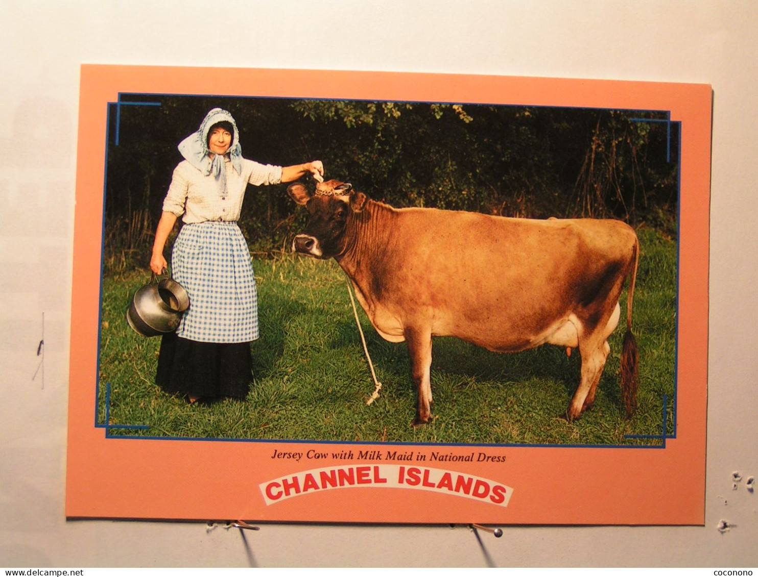 Jersey Cow With Milk Maid In National Dress - Sonstige & Ohne Zuordnung