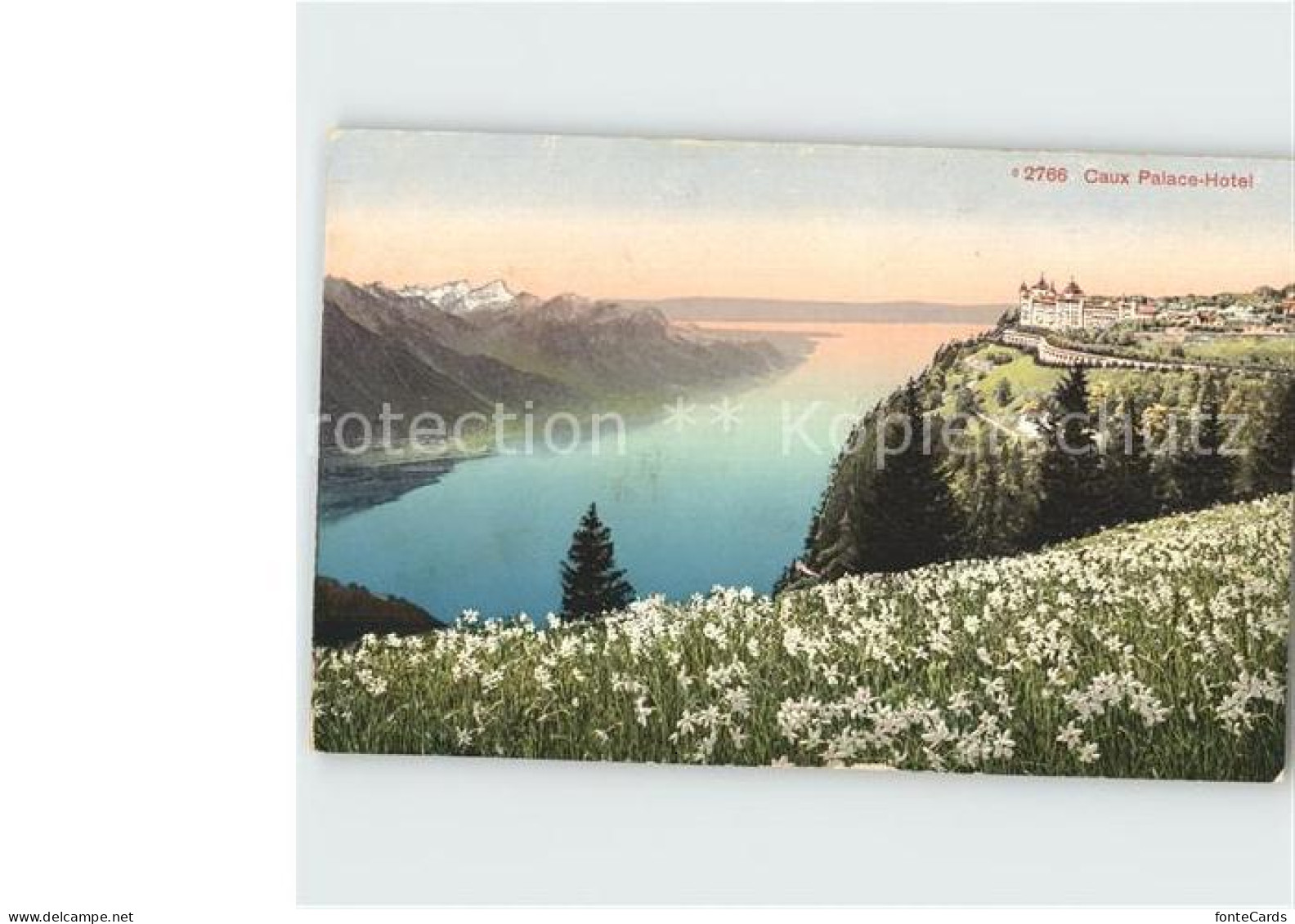 12359290 Caux VD Palace Hotel See Blumenwiese Caux - Other & Unclassified