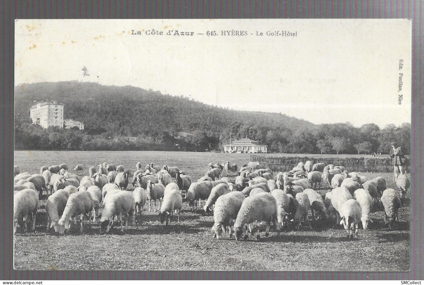 Hyères, Le Golf Hotel (troupeau De Moutons) (13602) - Hyeres