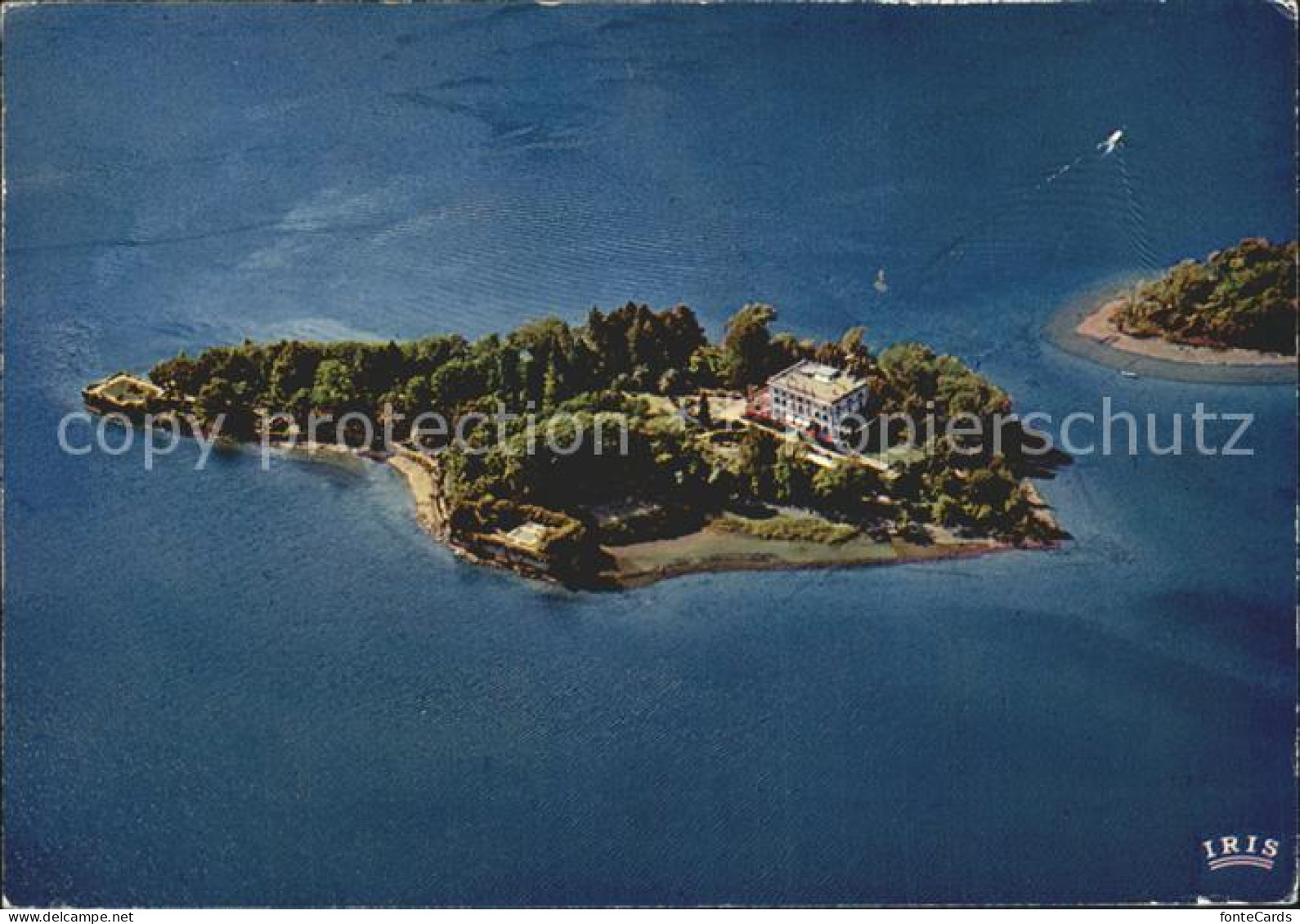 12352770 Isole Di Brissago Lago Maggiore Parco Botanico Del Ct Ticino Isole Di B - Other & Unclassified