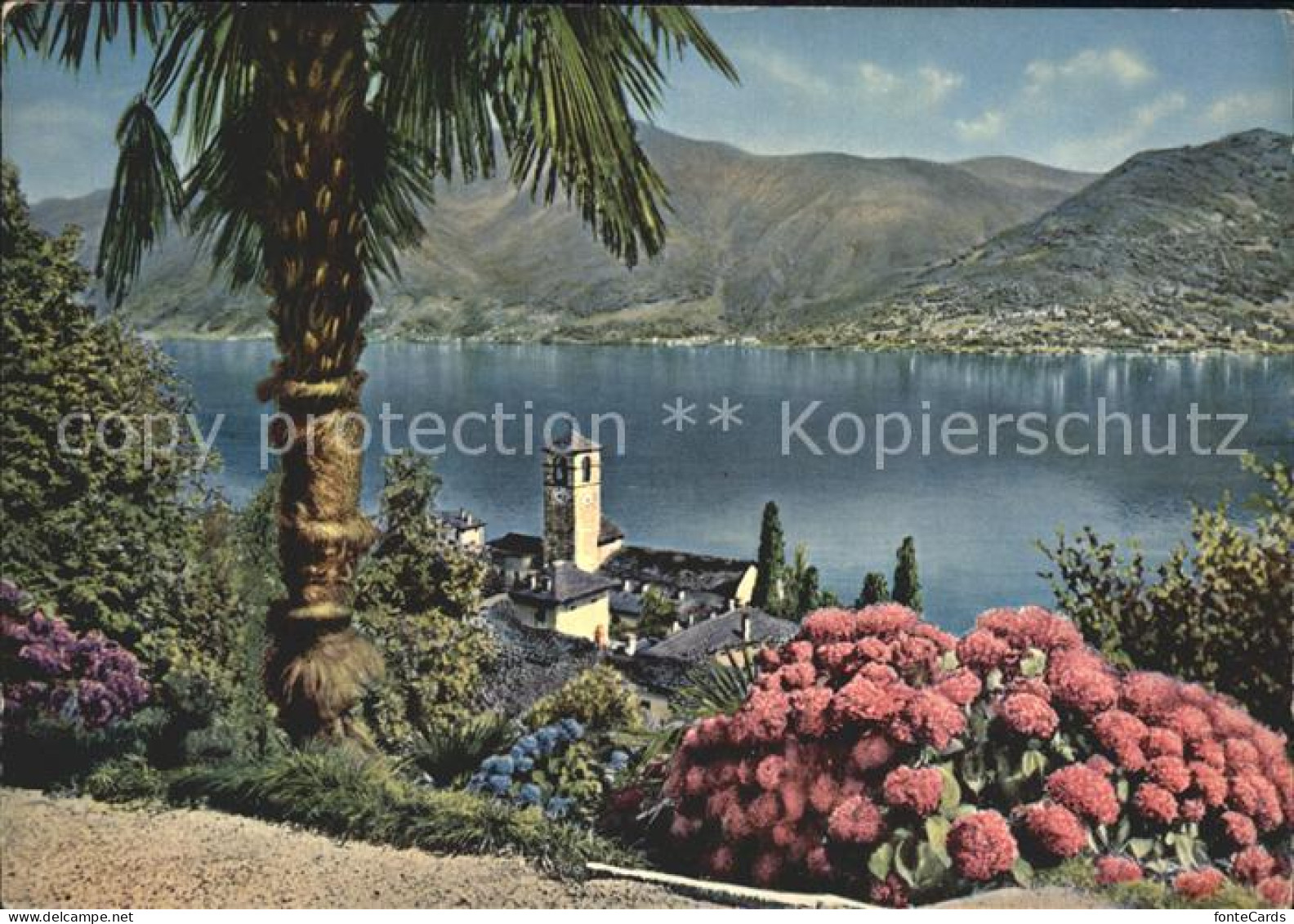 12351283 Brissago TI Lago Maggiore Brissago - Sonstige & Ohne Zuordnung