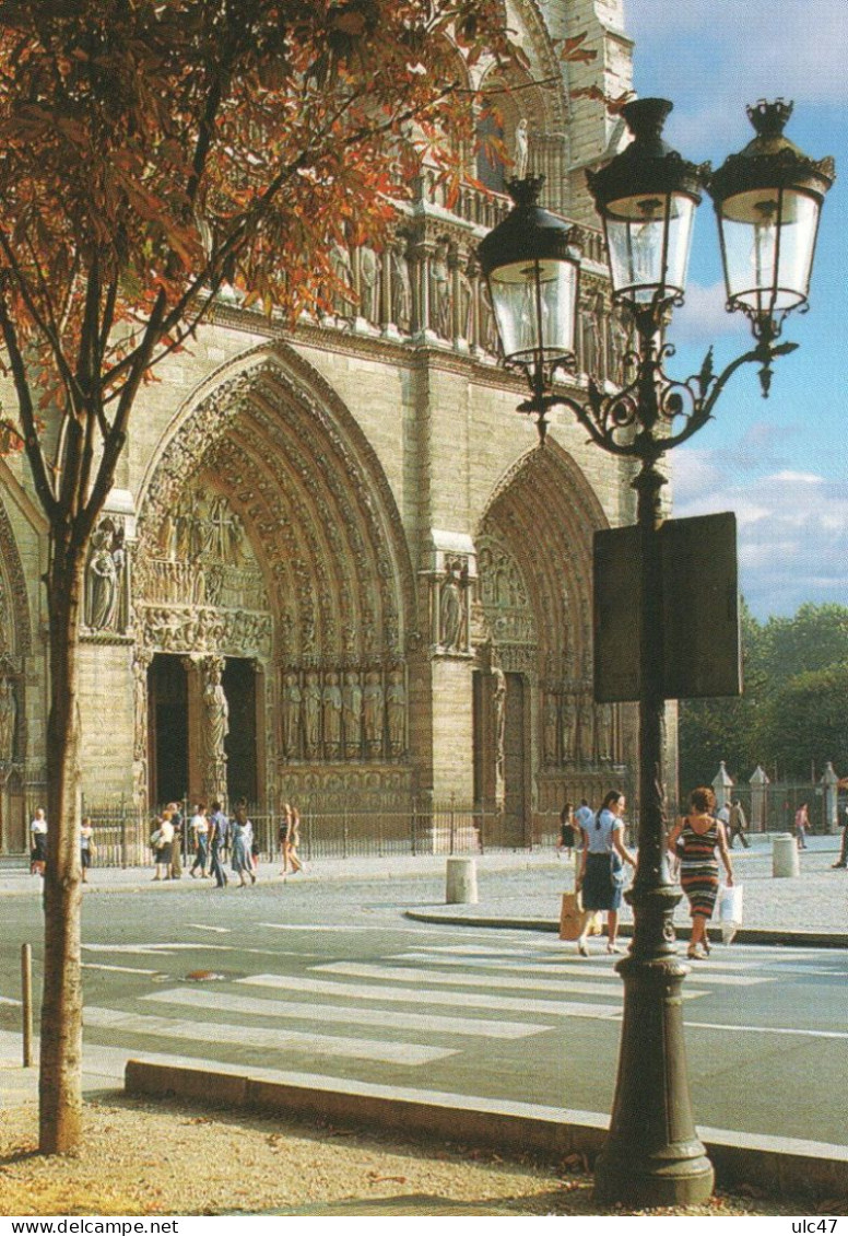 - PARIS - Façade De La Cathédrale Notre Dame: Le Portail Du Jugement Et Le Portail Saint-Anne.  - Photo: P. VIARD - - Notre Dame Von Paris