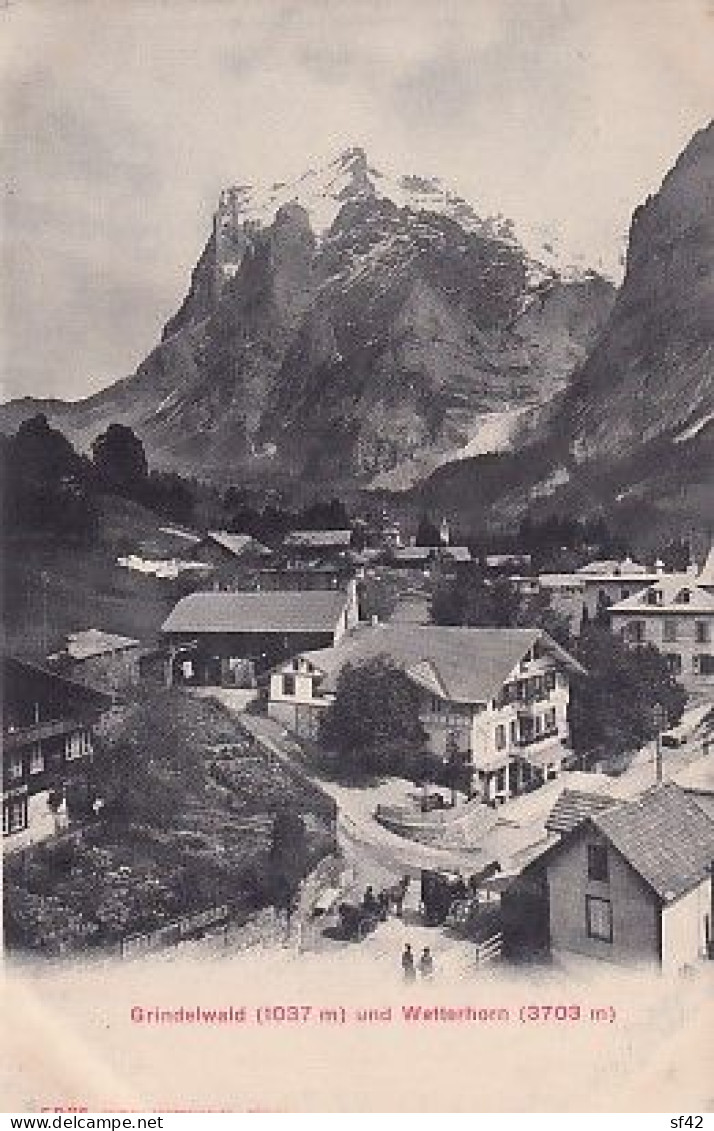 GRINDELWALD                UND  WETTERHORN - Grindelwald