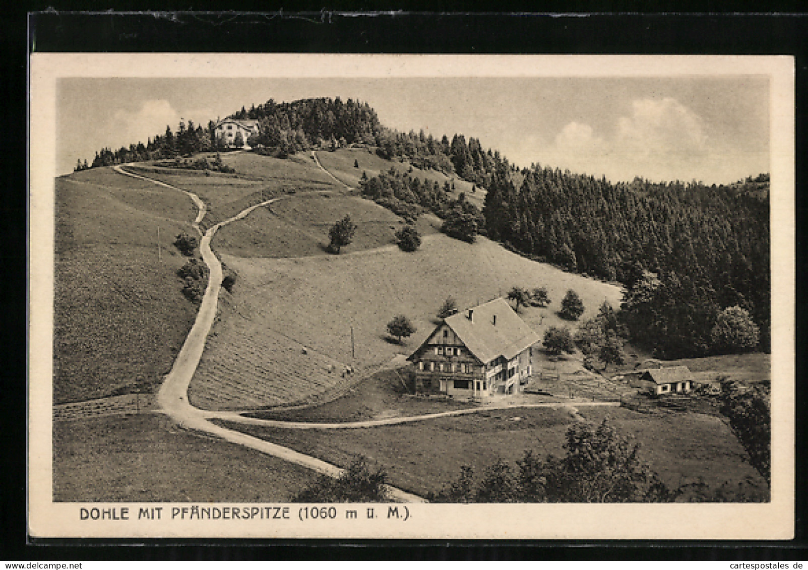 AK Pfänderspitze, Dohle Mit Pfänderspitze  - Sonstige & Ohne Zuordnung