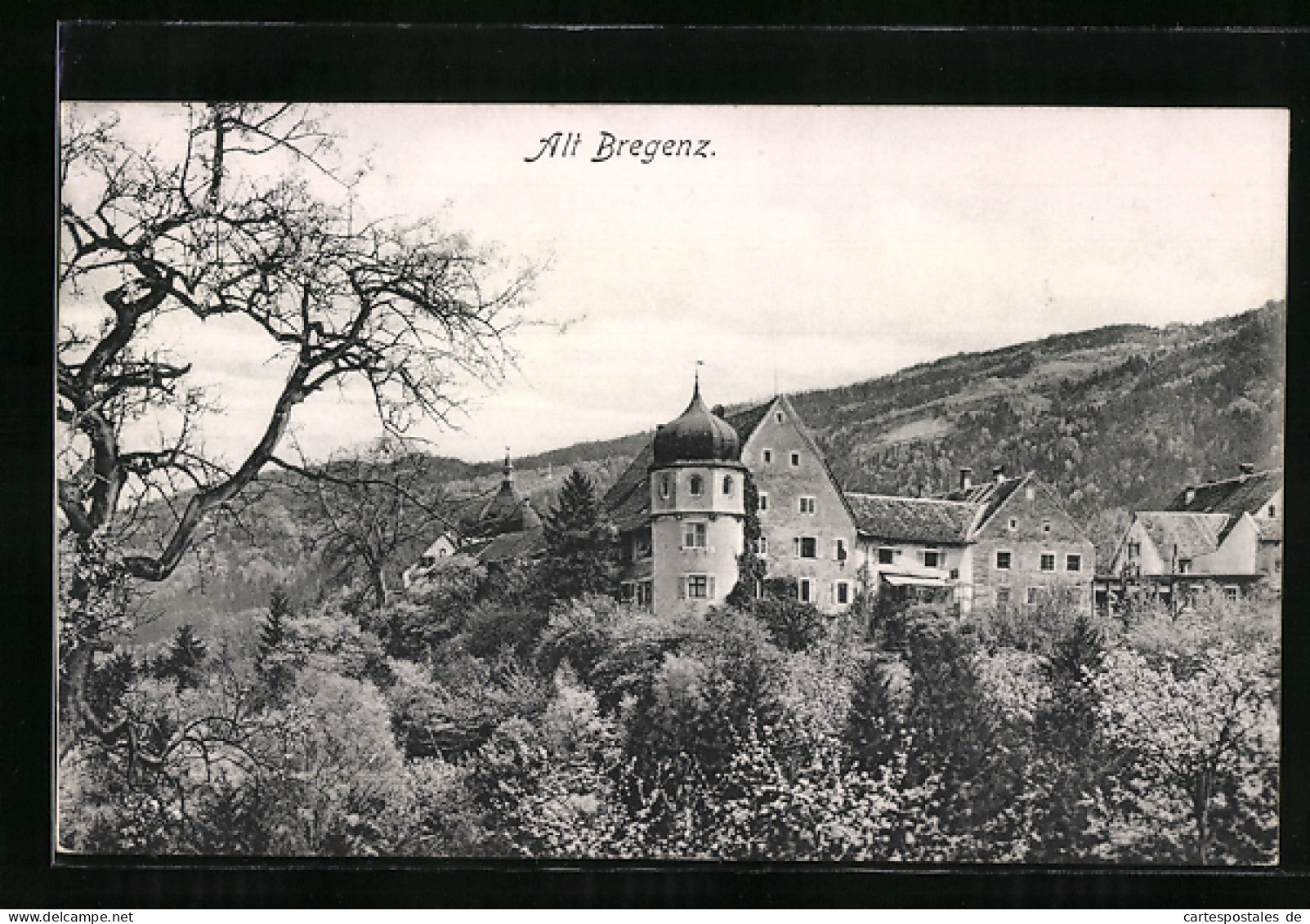 AK Bregenz, Alt-Bregenz, Teilansicht  - Sonstige & Ohne Zuordnung