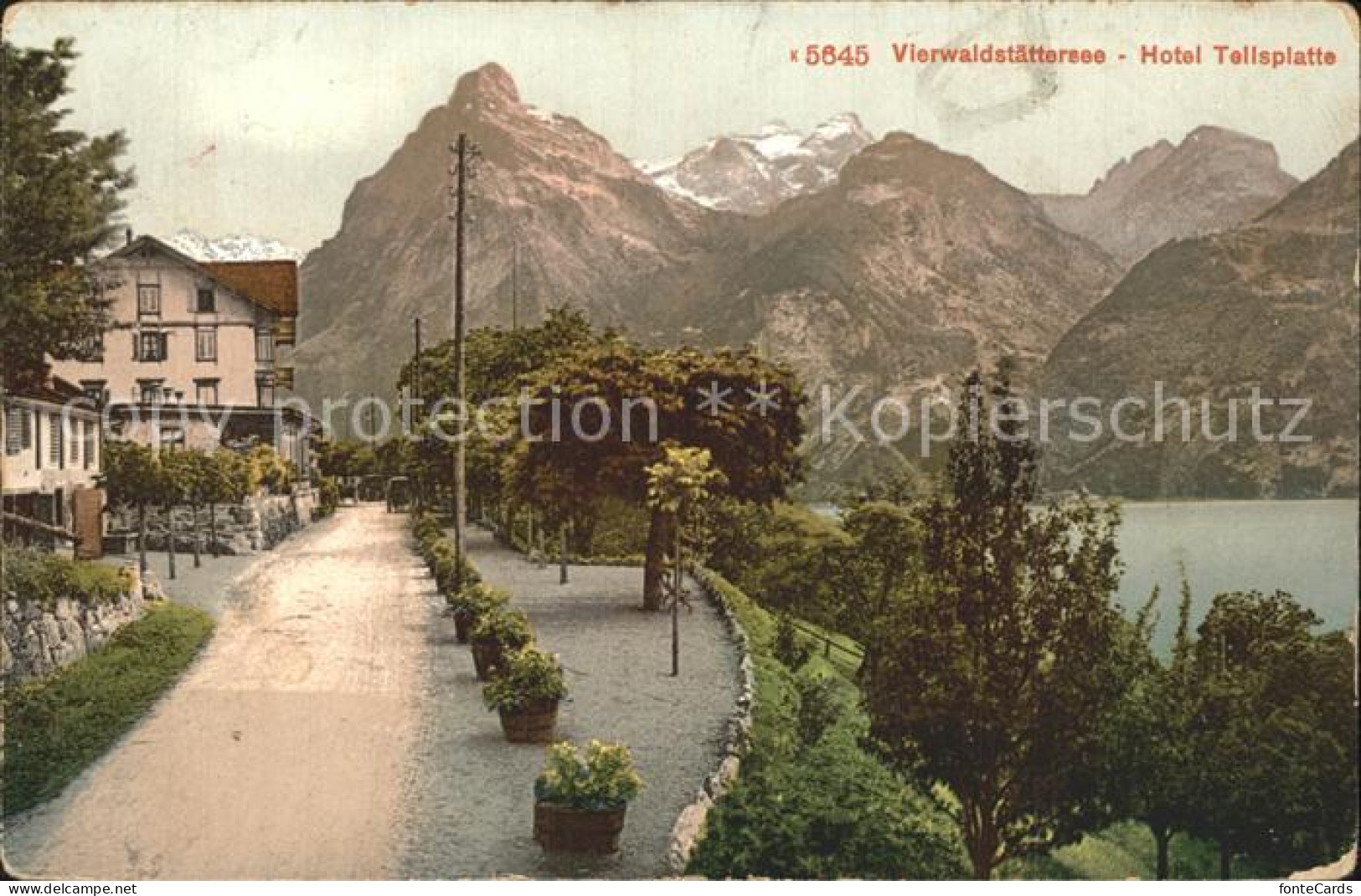 12346111 Vierwaldstaettersee SZ Hotel Tellsplatte Vierwaldstaettersee SZ - Andere & Zonder Classificatie