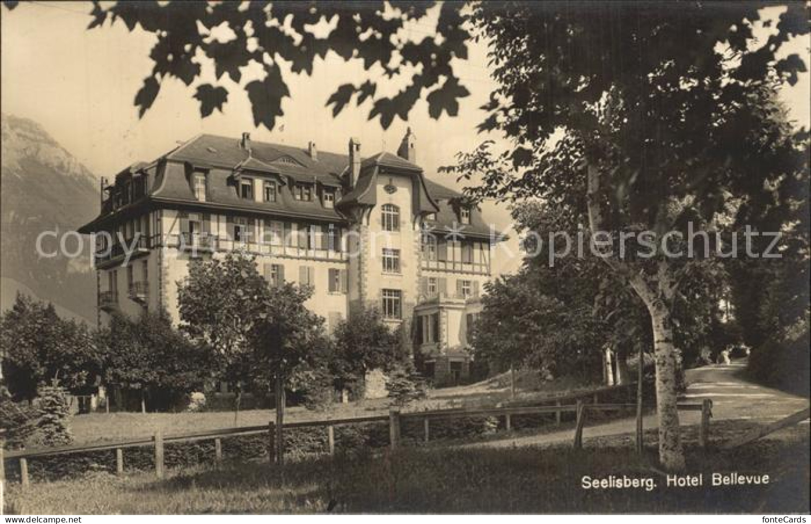 12346108 Seelisberg UR Hotel Bellevue Seelisberg UR - Autres & Non Classés