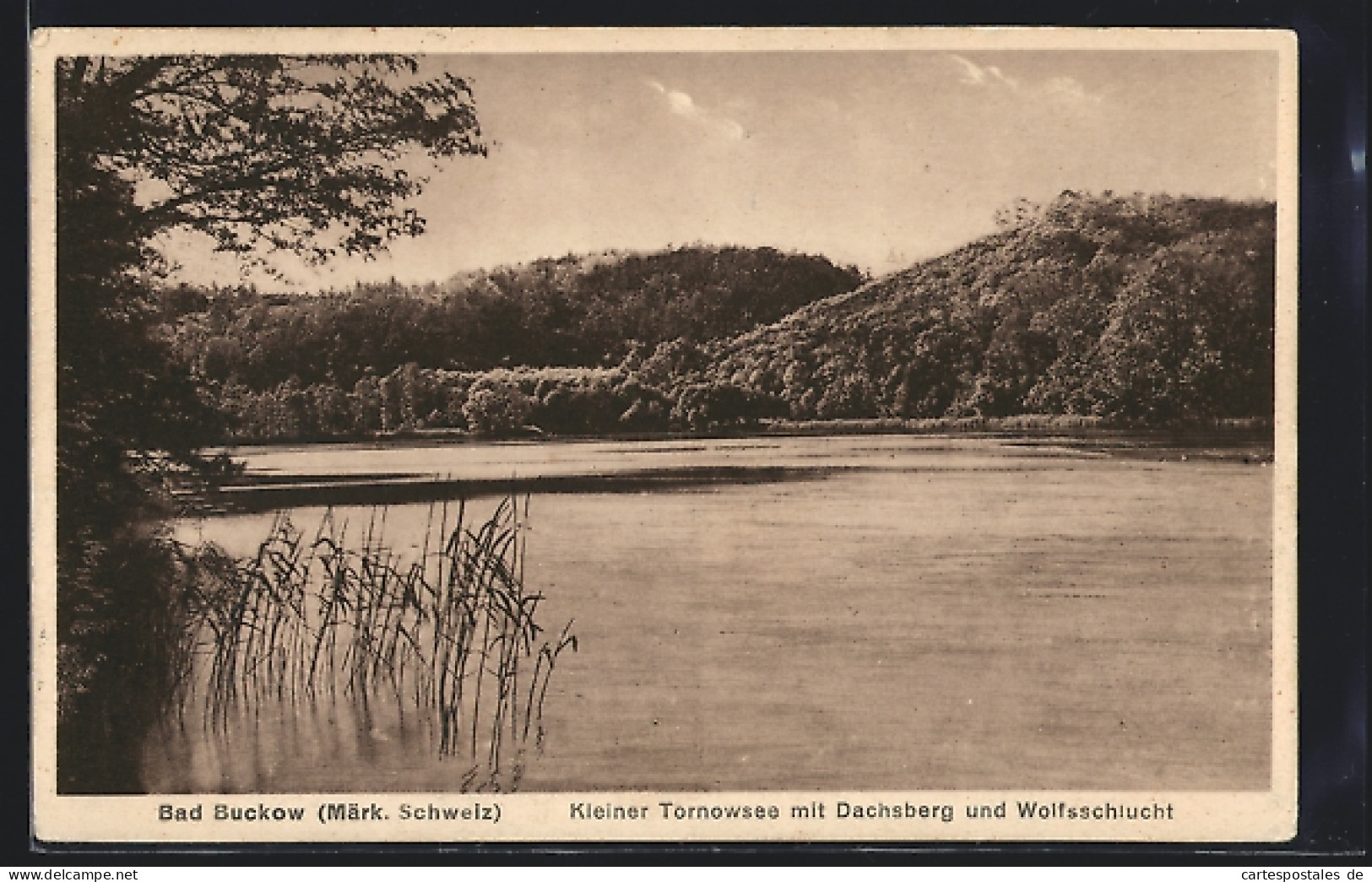 AK Bad Buckow / Märk. Schweiz, Kleiner Tornowsee Mit Dachsberg Und Wolfsschlucht  - Buckow