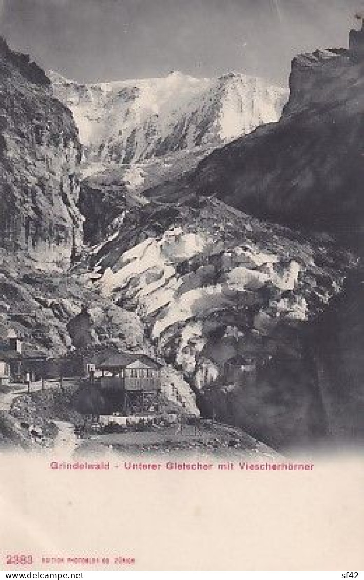 GRINDELWALD                UNTERER GLETSCHER UND VIESCHERHORNER - Grindelwald