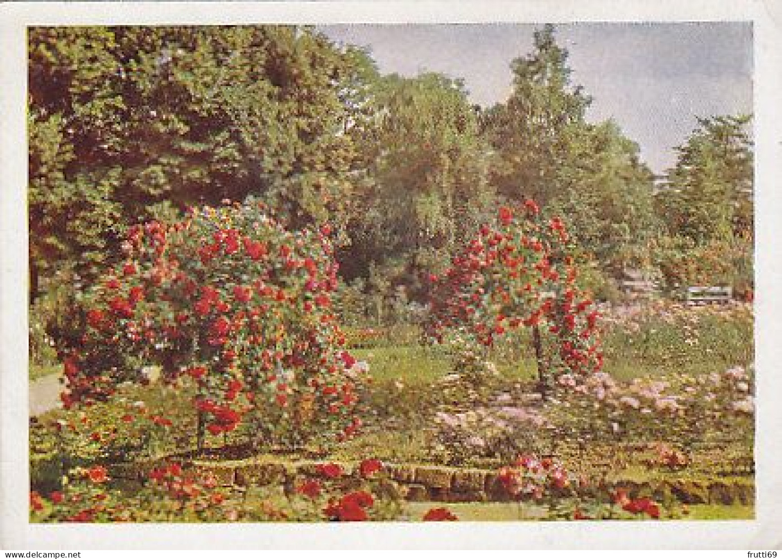 AK 215789 GERMANY - Sangershausen - Rosarium - Sangerhausen