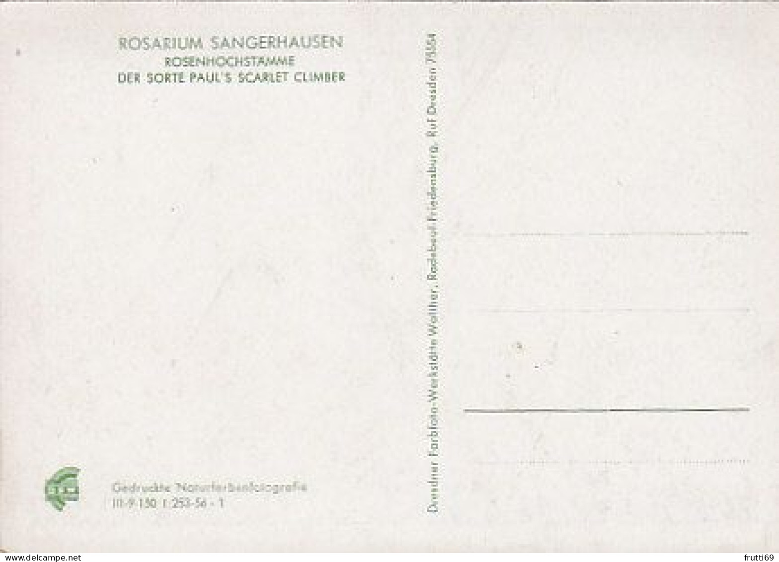 AK 215789 GERMANY - Sangershausen - Rosarium - Sangerhausen