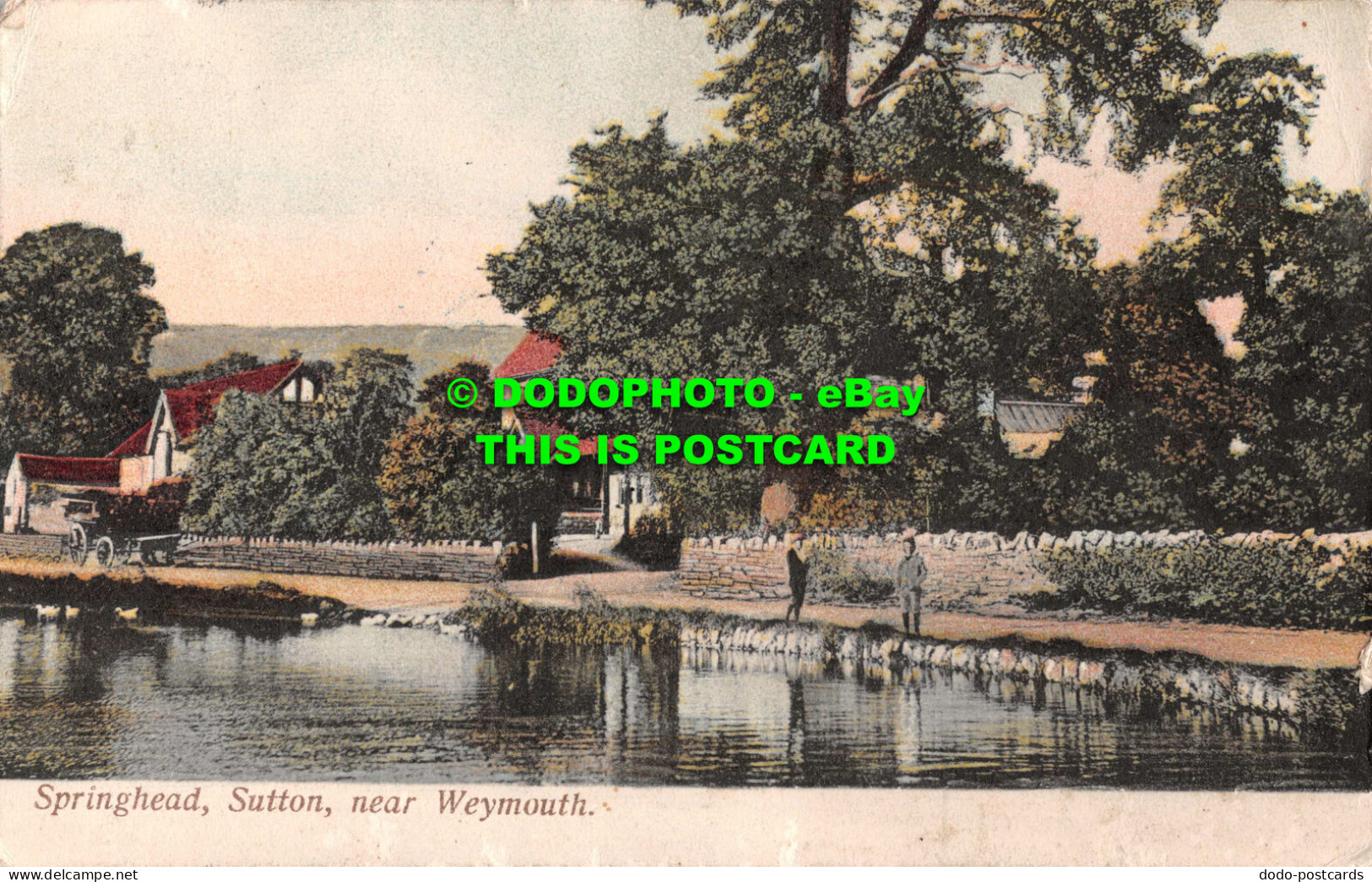 R546851 Springhead. Sutton Near Weymouth. H. Cumming. 1909 - World