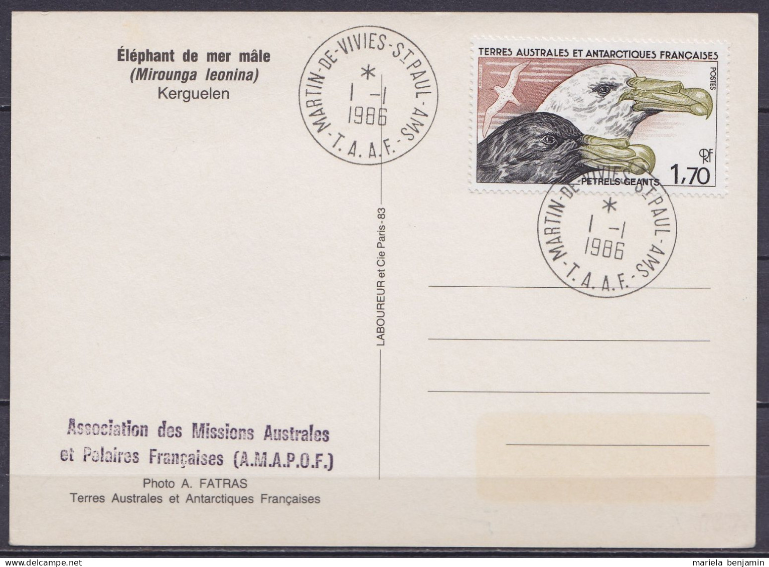 TAAF – St-Paul & Amsterdam - N° 116 Oiseaux Pétrels Géants - Oblit. 1e Jour Martin-de-Viviès 1-1-1986 / CP Eléphants De  - Cartas & Documentos