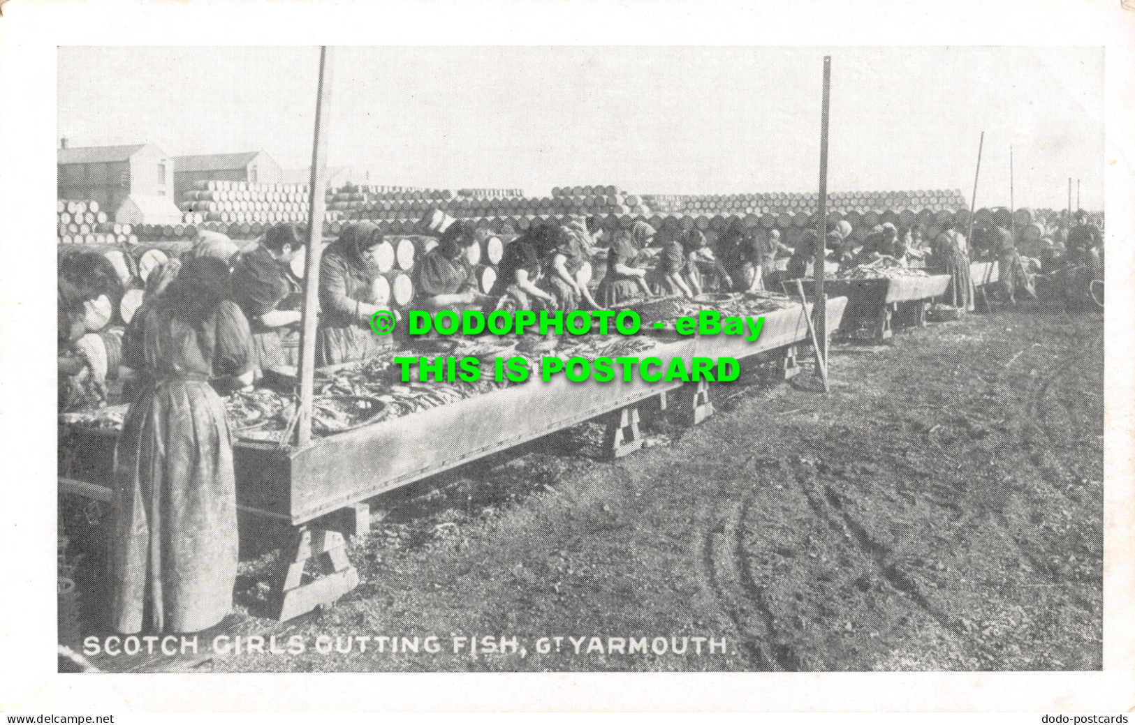 R546852 Gt. Yarmouth. Scotch Girls Cutting Fish - World