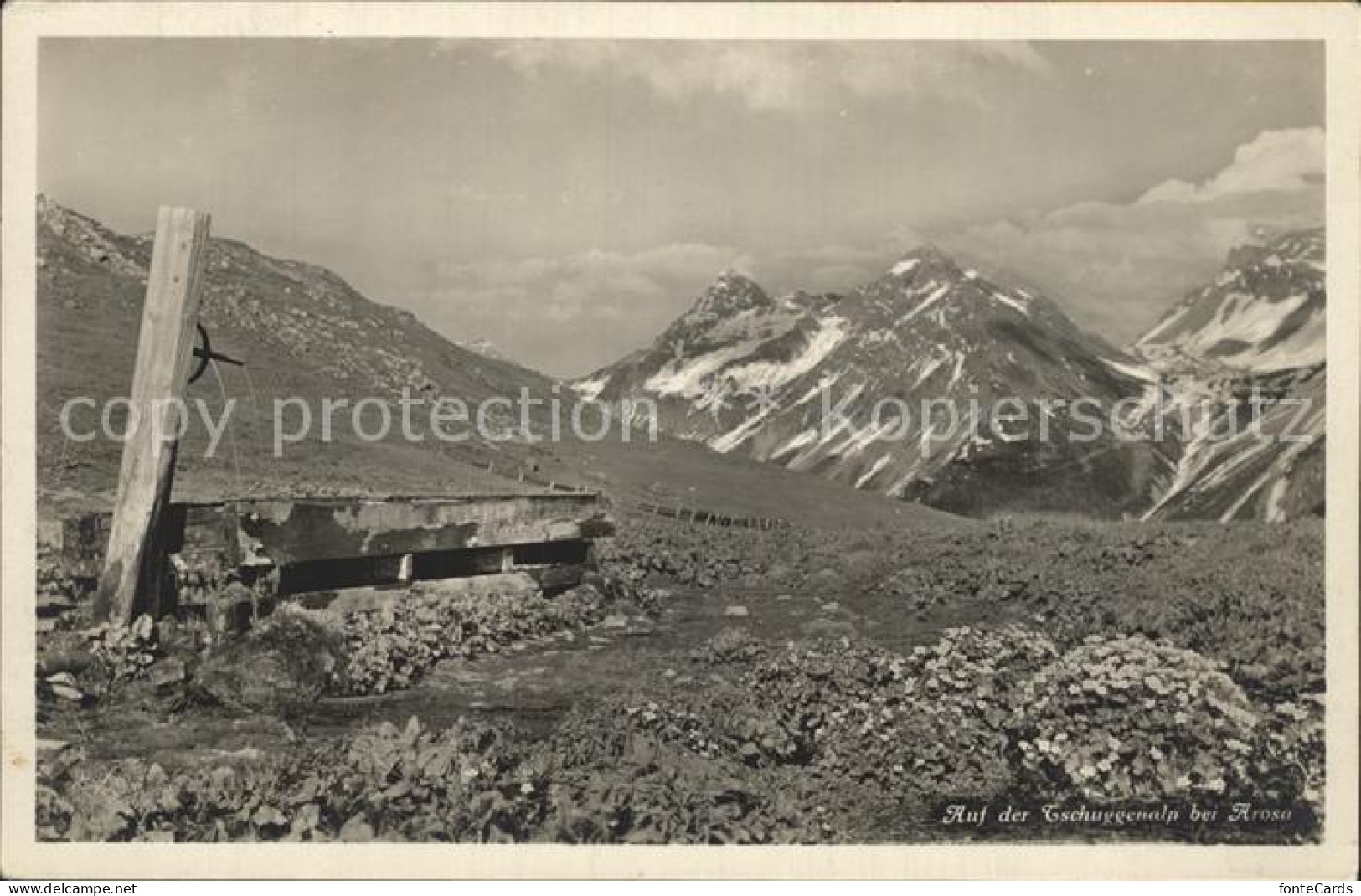 12341253 Arosa GR Tschuggenalp Arosa - Sonstige & Ohne Zuordnung