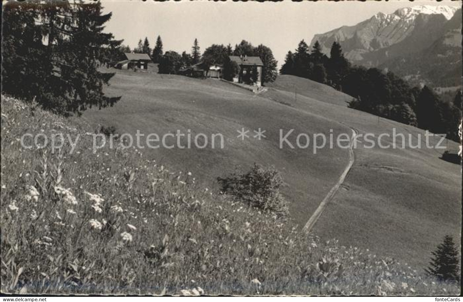 12341192 Valzeina Christliches Erholungsheim Flueeli Valzeina - Sonstige & Ohne Zuordnung