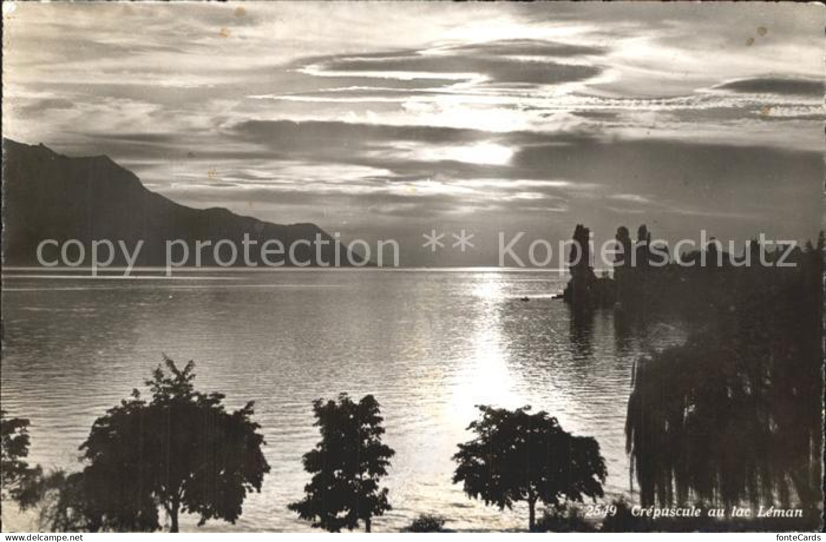 12340001 Leman Lac Genfersee Grepascule Genf - Other & Unclassified