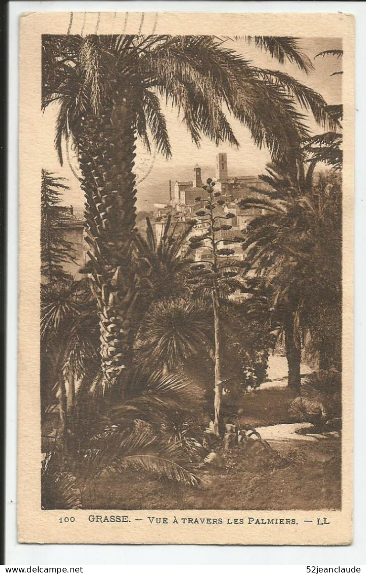 Vue à Travers Les Palmiers     1932    N° 100 - Grasse