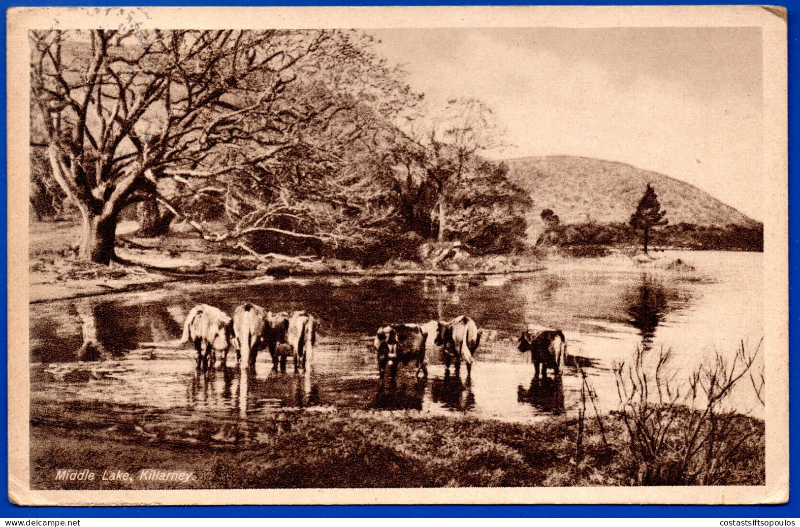 2970.IRELAND, MIDDLE LAKE,KILLARNEY POSTCARD, MUCROS CILL AIRNE 1938 POSTMARK. - Storia Postale