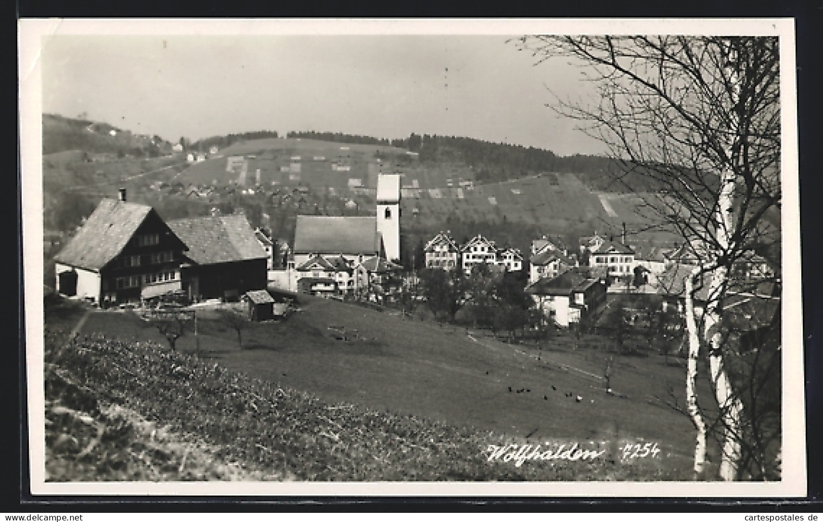 AK Wolfhalden, Gesamtansicht Mit Kirche Und Umgebung  - Other & Unclassified