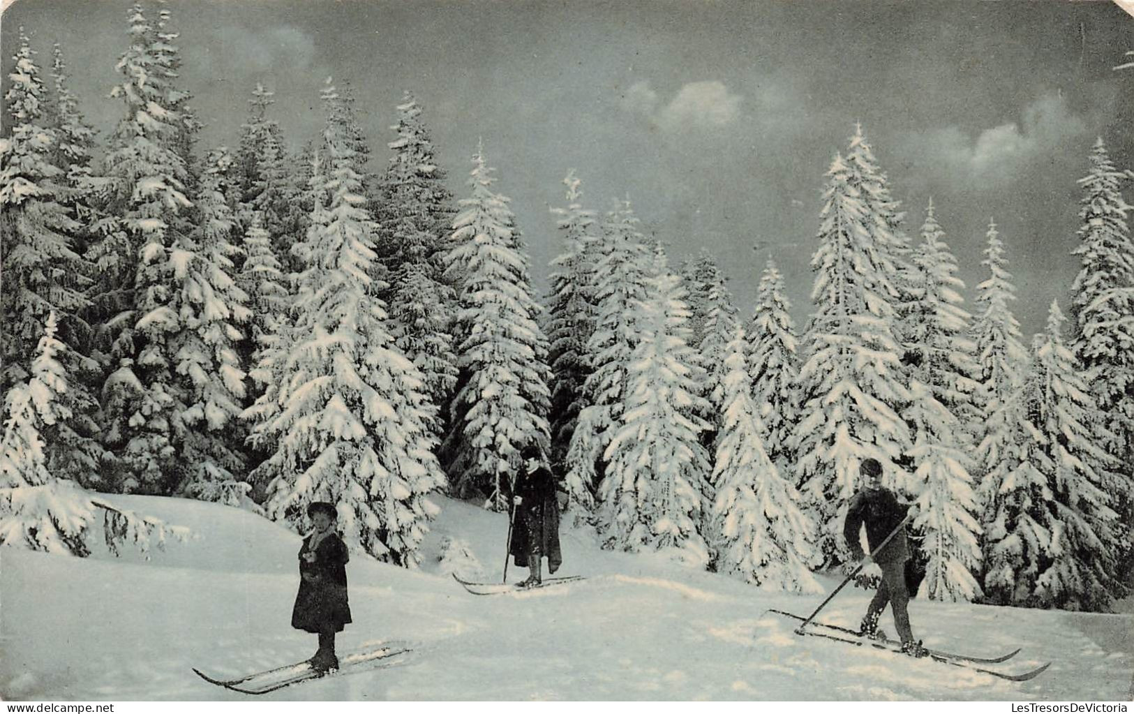 AUTRICHE - Tirol - Autriche - Vue Sur La Forêt Enneigé - Animé - Carte Postale Ancienne - Sonstige & Ohne Zuordnung