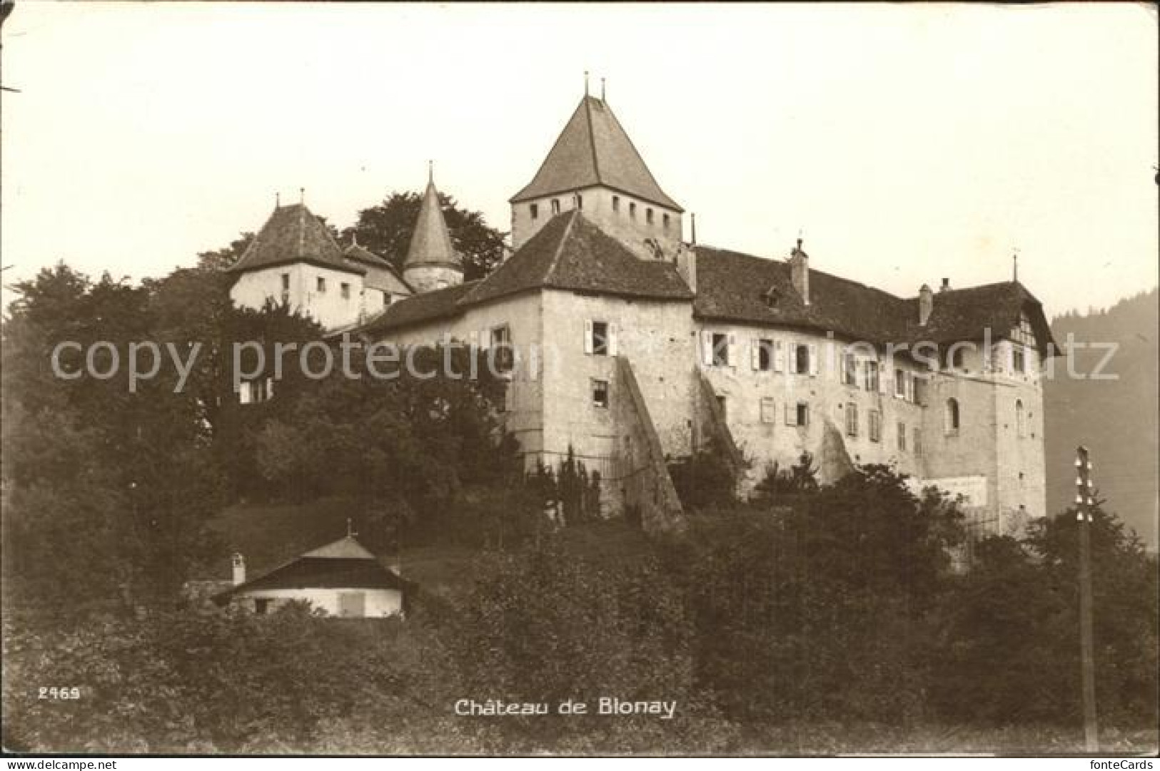 12339132 Blonay Chateau Blonay - Other & Unclassified