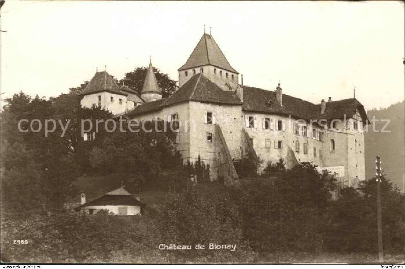 12339132 Blonay Chateau Blonay - Sonstige & Ohne Zuordnung