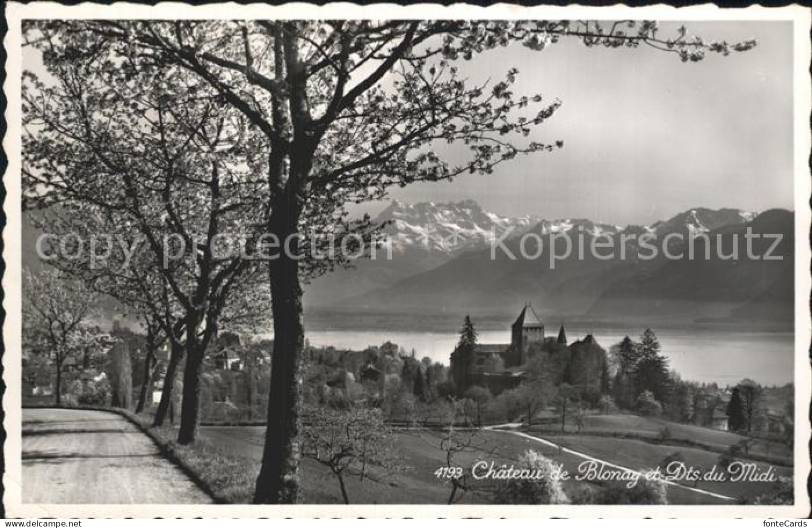 12339121 Blonay Chateau Dents Du Midi Blonay - Sonstige & Ohne Zuordnung