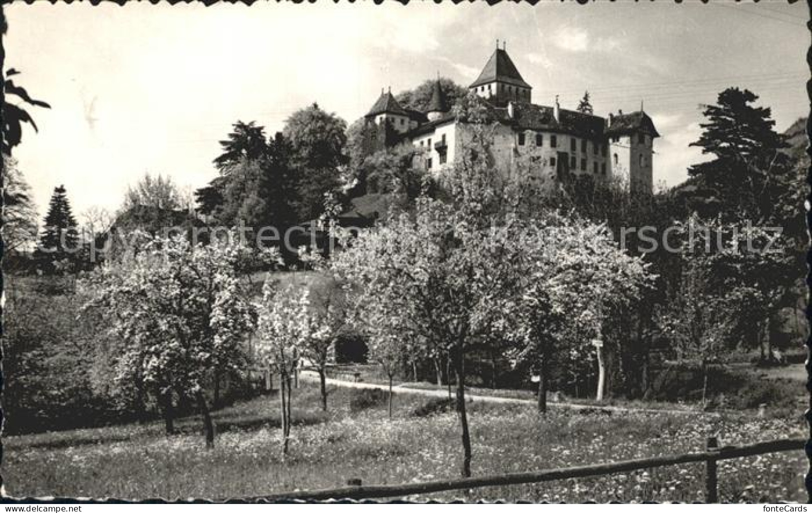 12339120 Blonay Chateau Blonay - Altri & Non Classificati