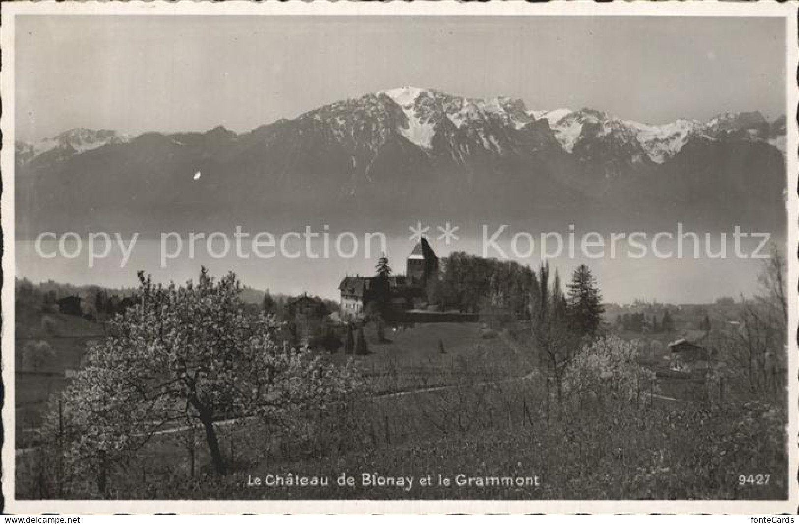 12339112 Blonay Le Chateau Grammont Blonay - Other & Unclassified