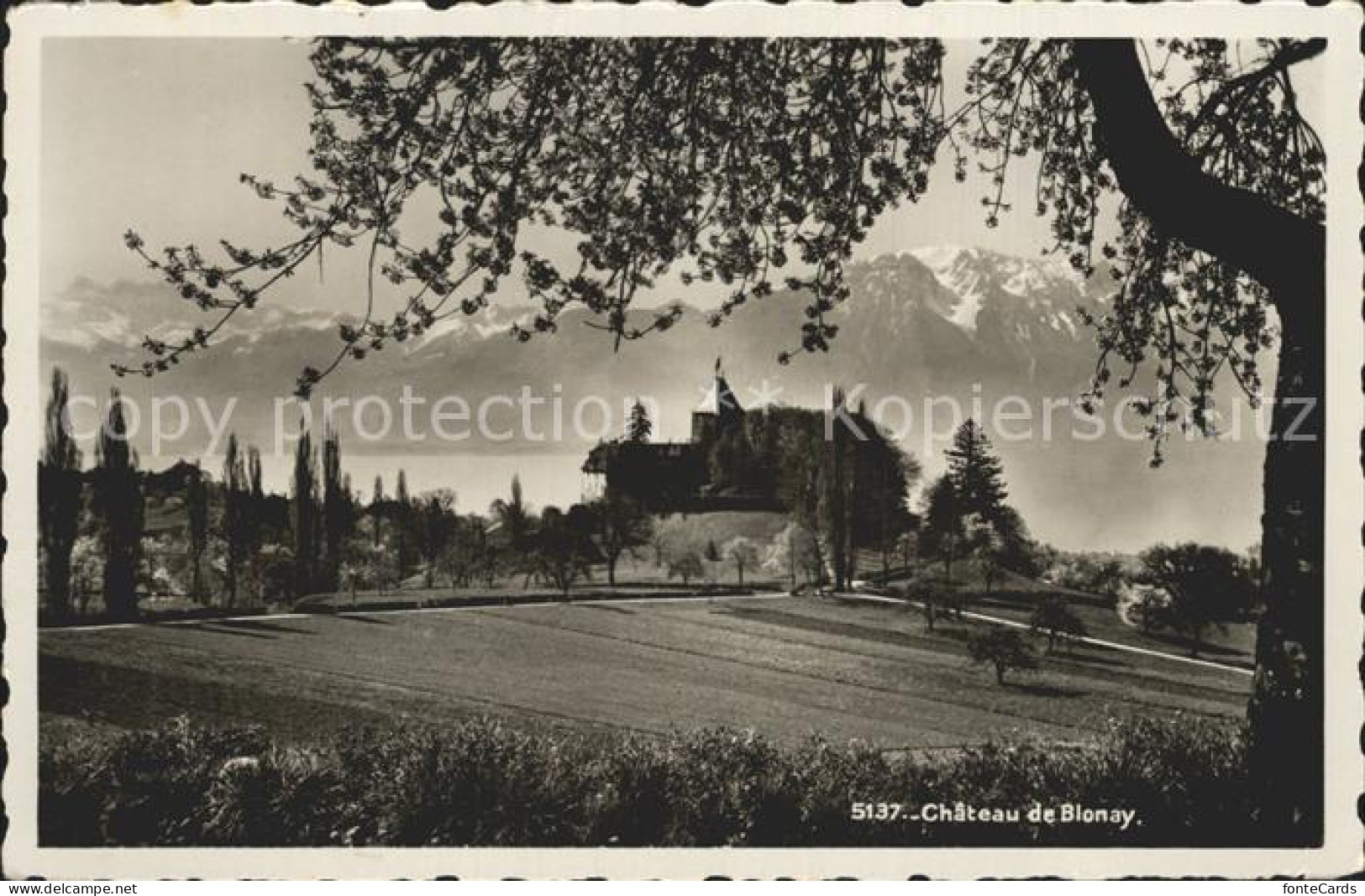 12339111 Blonay Chateau Blonay - Sonstige & Ohne Zuordnung