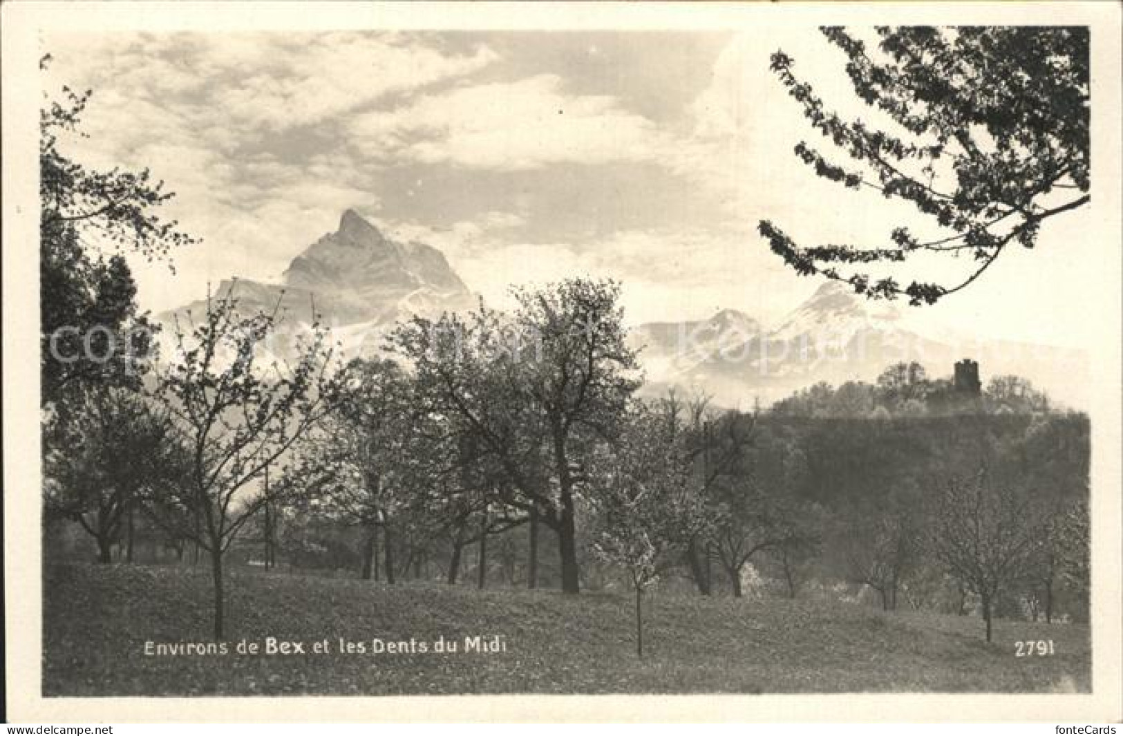 12339104 Bex Les Bains Dentd Du Midi Bex - Sonstige & Ohne Zuordnung