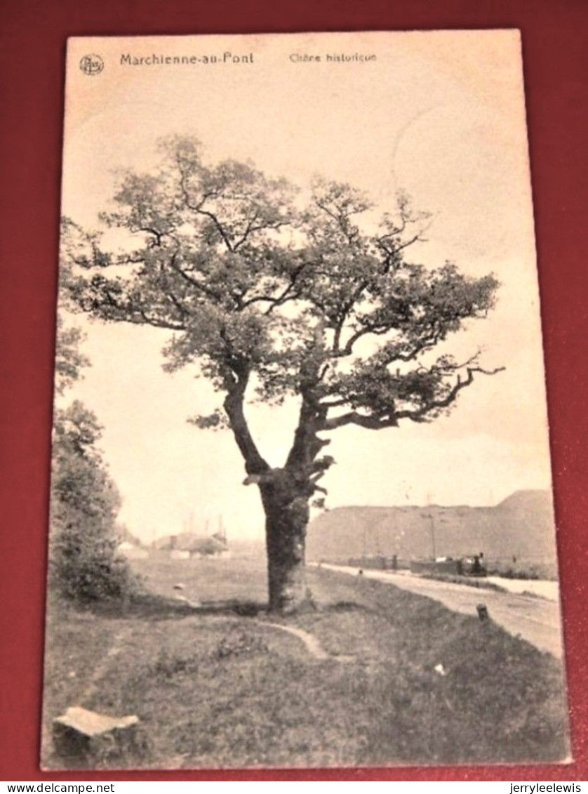 MARCHIENNE AU PONT  -  Chêne Historique   -  1911    - - Charleroi