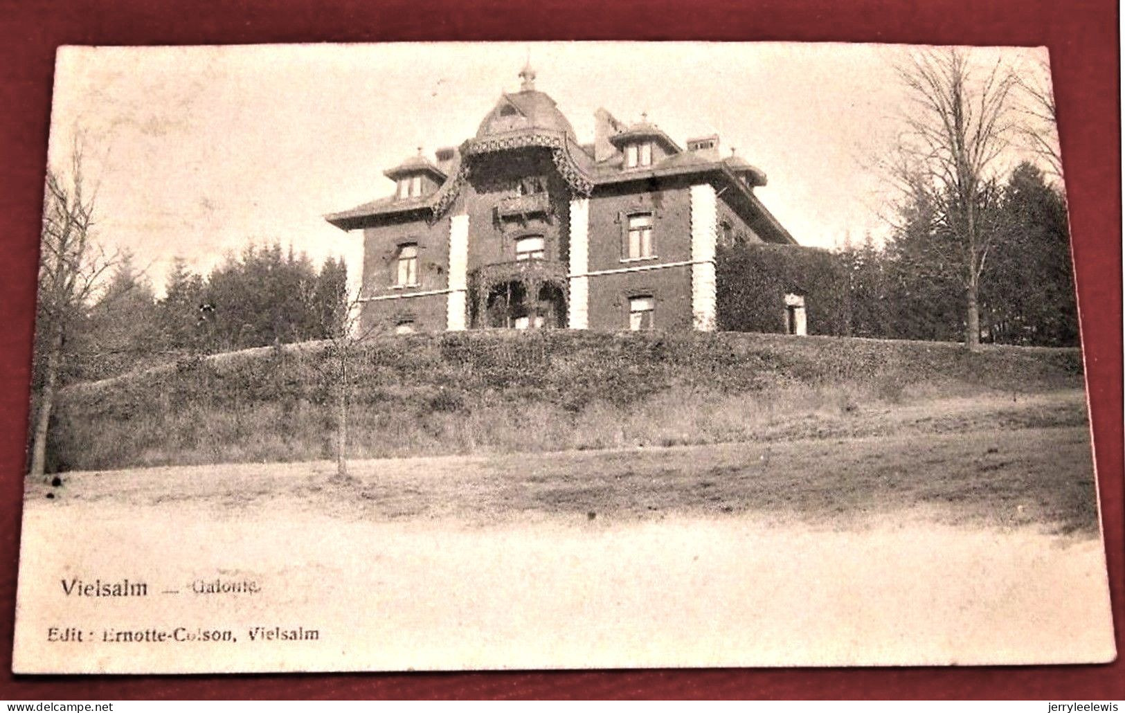 VIELSALM  -   Galonfa    -   1905     - - Vielsalm