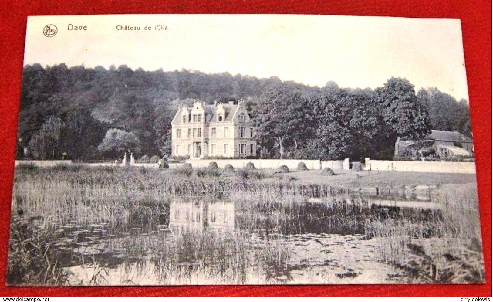 DAVE  -  NAMUR  -   Château  De L' Ilia  - - Namen