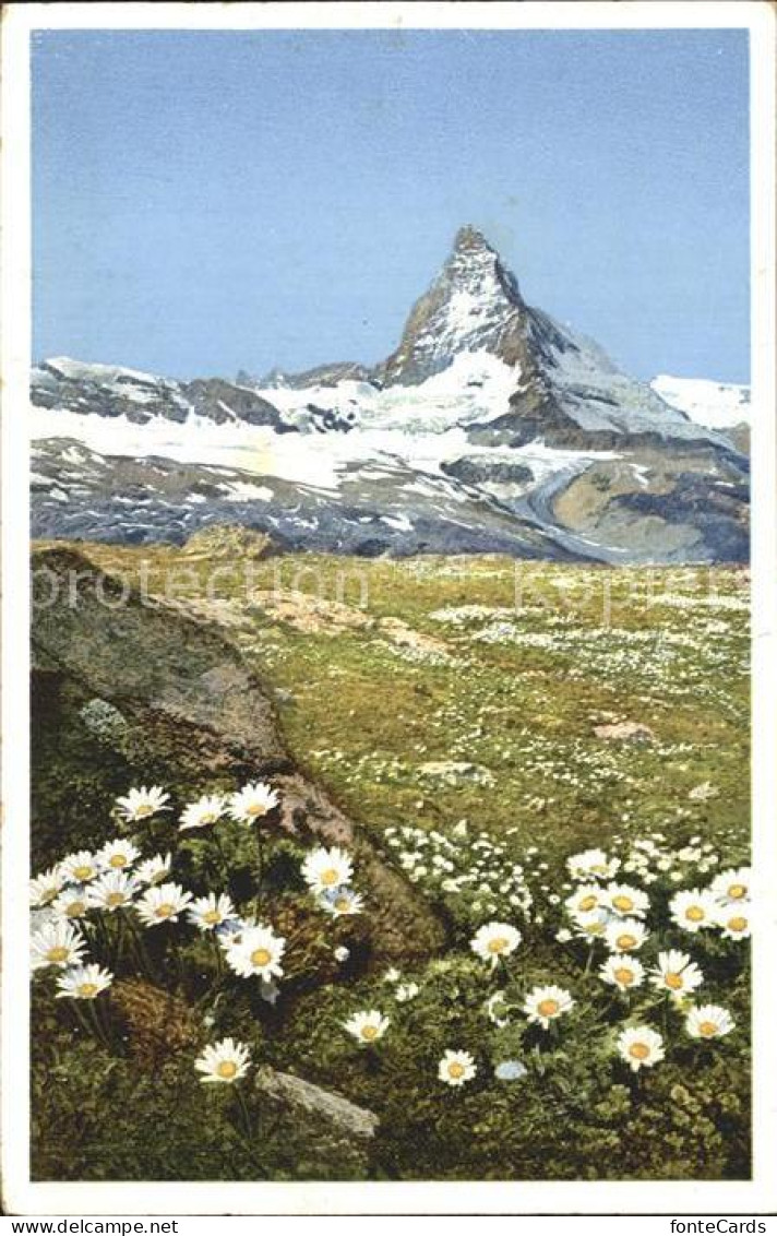 12337982 Gornergrat Zermatt Blumenwiese Mit Matterhorn Gornergrat Zermatt - Sonstige & Ohne Zuordnung