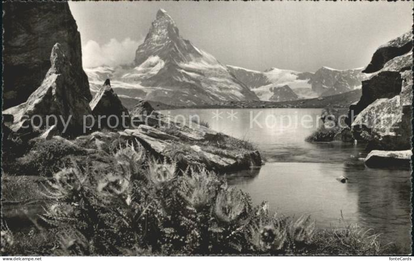 12337961 Stellisee Mit Matterhorn Zermatt - Sonstige & Ohne Zuordnung