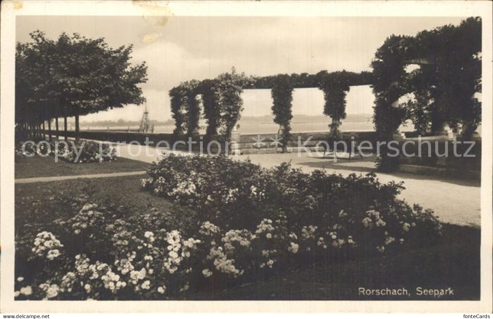 12337931 Rorschach Bodensee Seepark Rorschach - Other & Unclassified