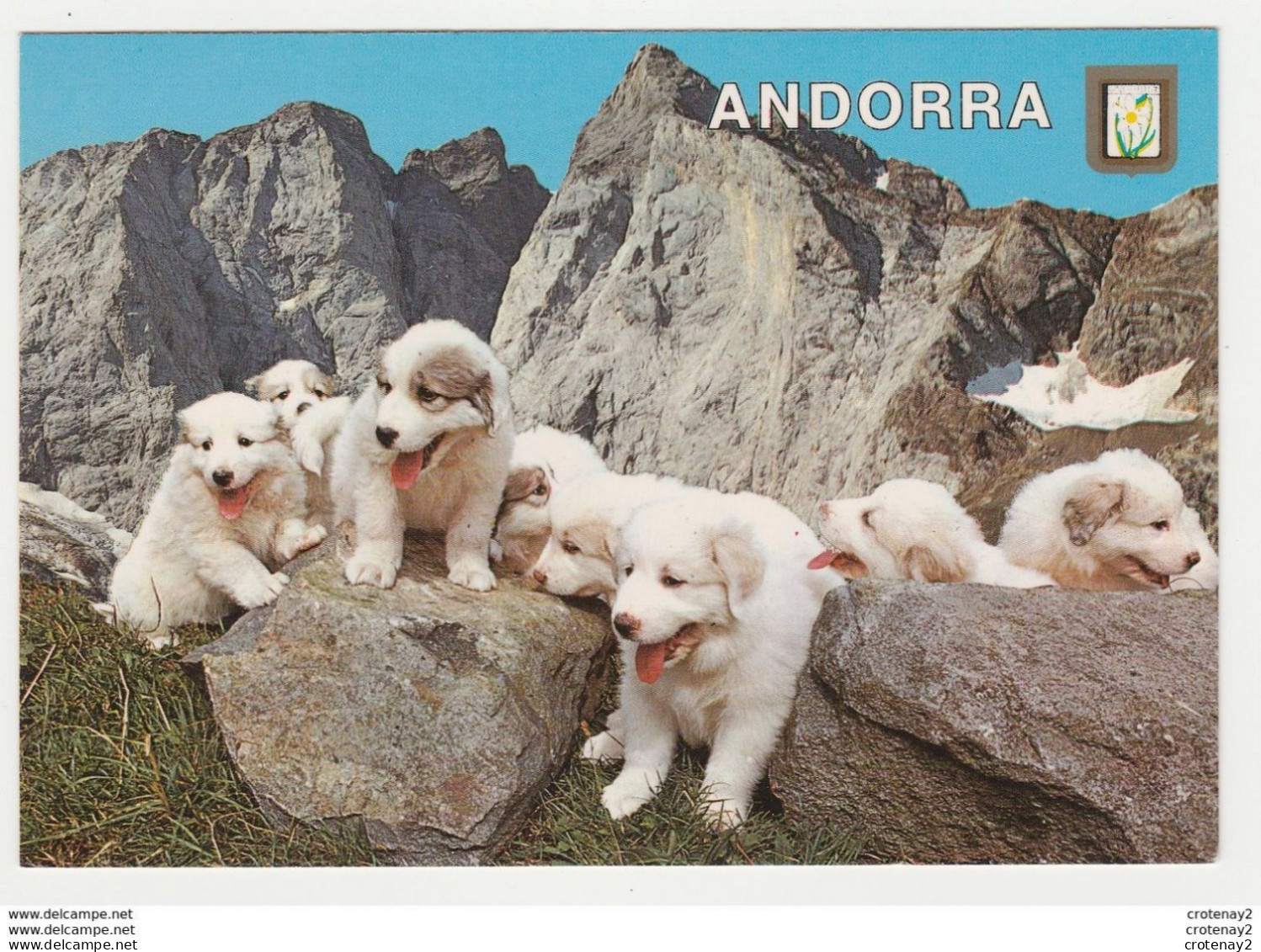 Valls D'Andorra ANDORRE N°500 Paysage De Montagne Beaux Chiens Ou Chiots VOIR TIMBRE 1986 - Andorra